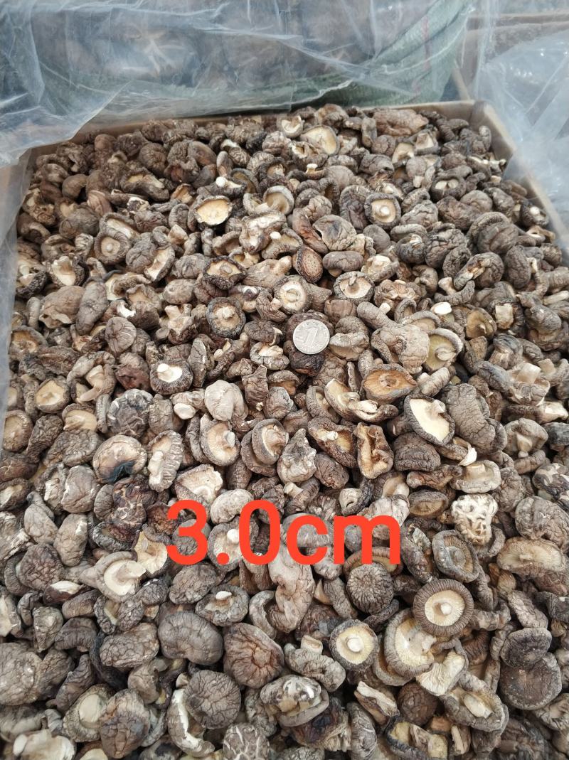 【随州干香菇/花菇】冬菇精品一手货源规格齐全