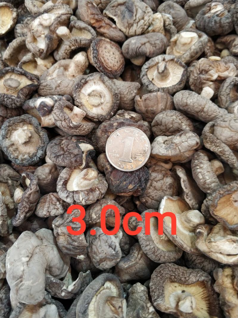 【随州干香菇/花菇】冬菇精品一手货源规格齐全