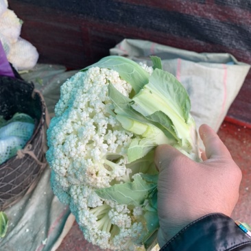 菜花瑞安市登明蔬菜专业合作社