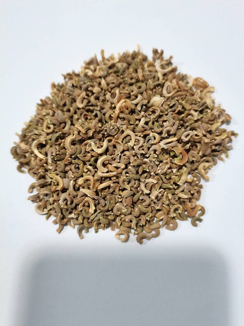金盏菊种子，厂家直发，量大从优，郑州发货，盆栽，绿化使用