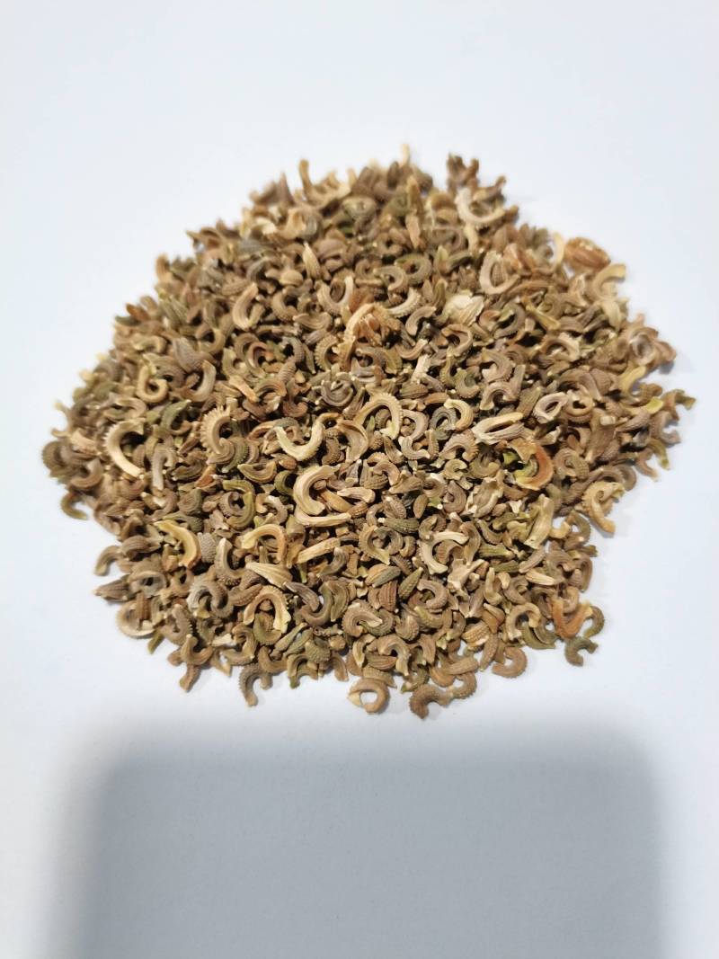 金盏菊种子，厂家直发，量大从优，郑州发货，盆栽，绿化使用