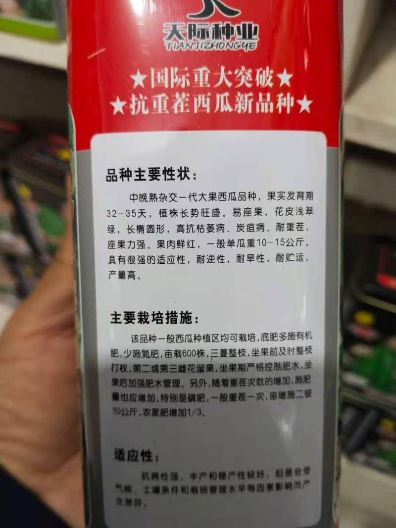 西瓜种子沙漠冰砂糖杂交一代，大果西瓜品种耐重茬高抗病