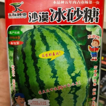 西瓜种子沙漠冰砂糖杂交一代，大果西瓜品种耐重茬高抗病