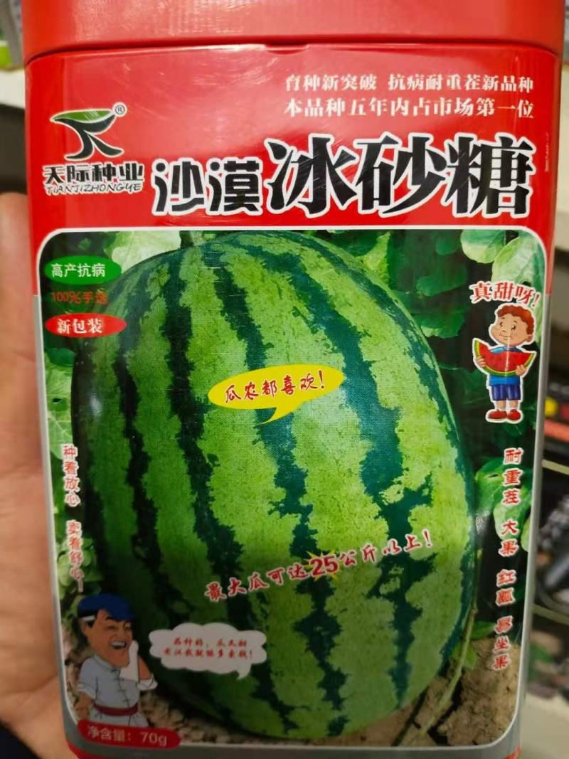 西瓜种子沙漠冰砂糖杂交一代，大果西瓜品种耐重茬高抗病