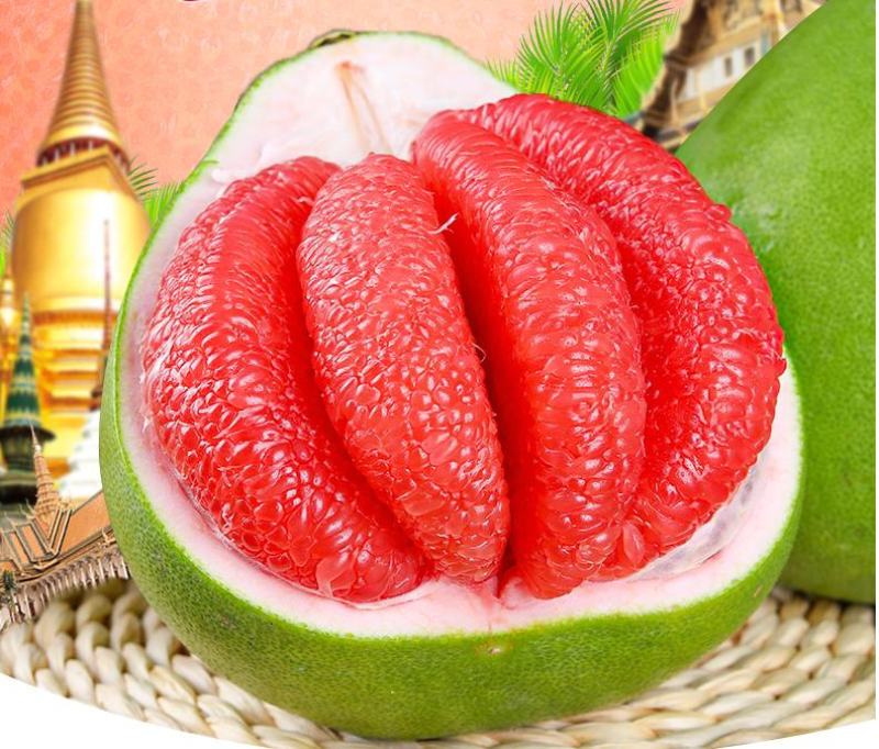 柚子树苗当年结果特大嫁接苗红心蜜柚柚子苗北方南方种植盆景