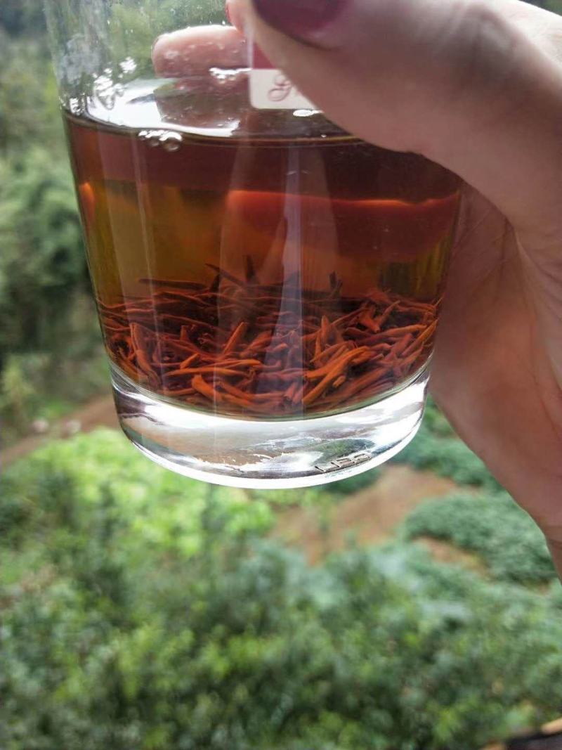 供应红茶恩施硒都富硒茶红茶利川红特级红茶春茶清明茶红茶