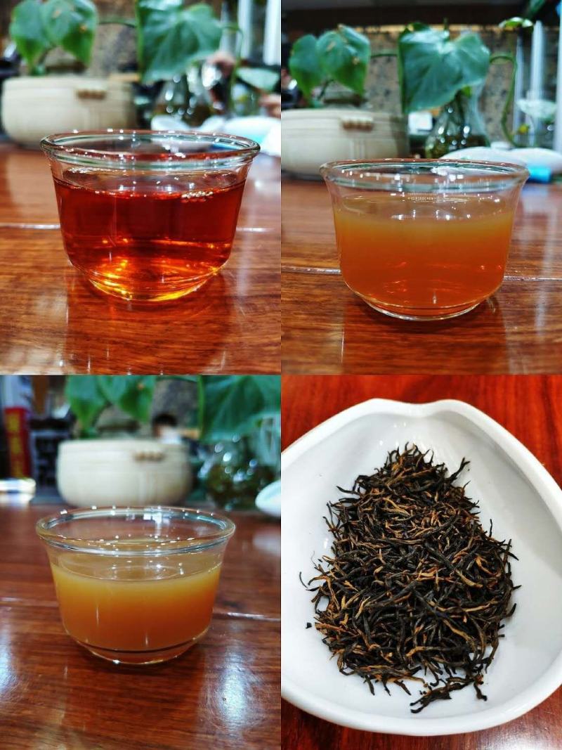 供应红茶恩施硒都富硒茶红茶利川红特级红茶春茶清明茶红茶