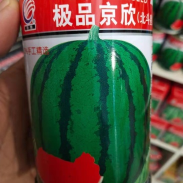 京欣西瓜种子，北斗星早熟，详细介绍请看包装说明谢谢！