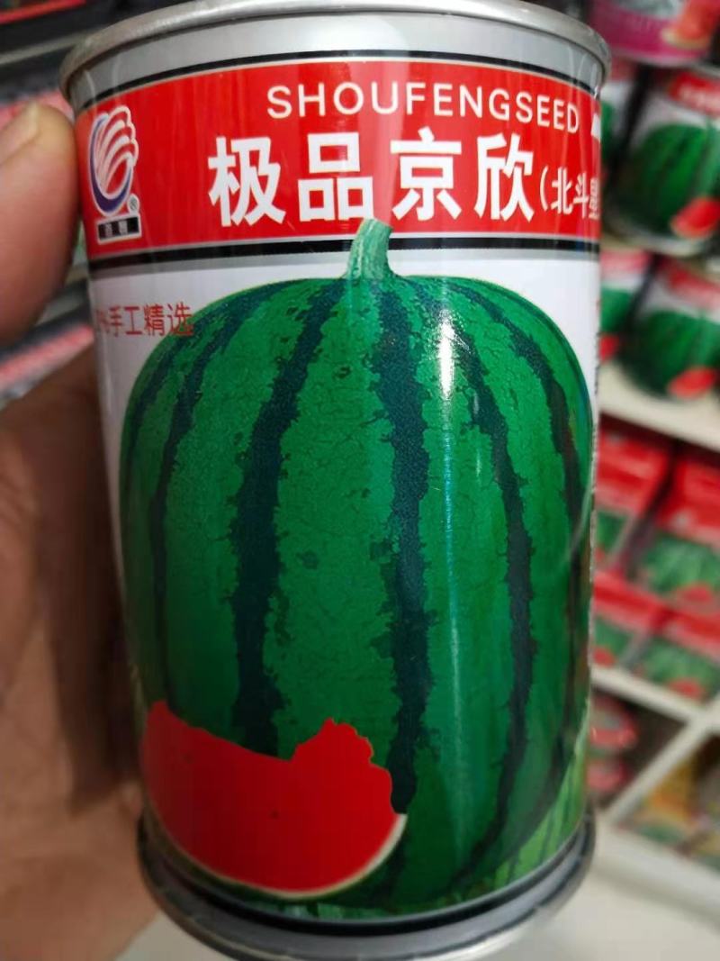 京欣西瓜种子，北斗星早熟，详细介绍请看包装说明谢谢！