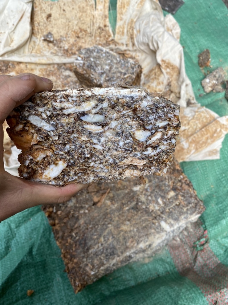 中药材安息香够含量有货