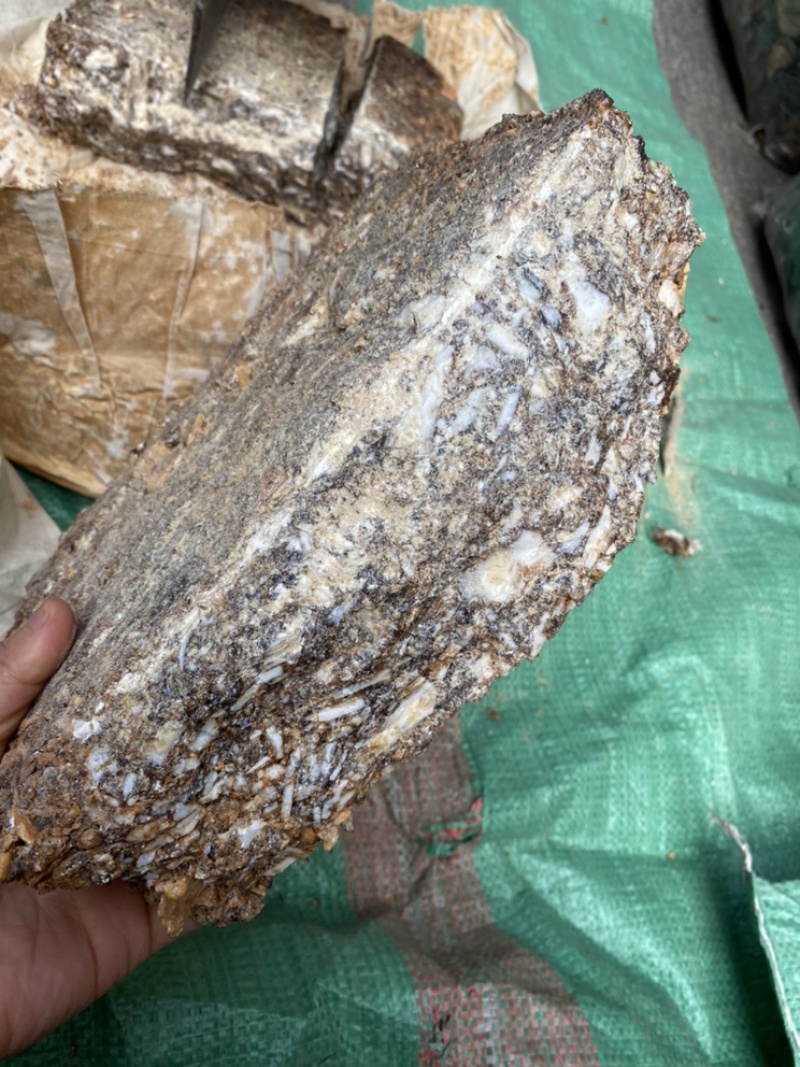 中药材安息香够含量有货