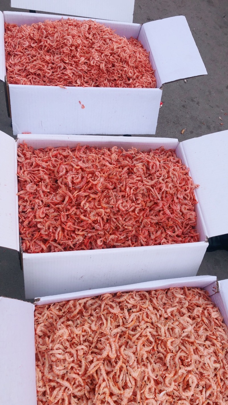 磷虾皮，磷虾肉，多种规格可选！大量有货！一箱9斤