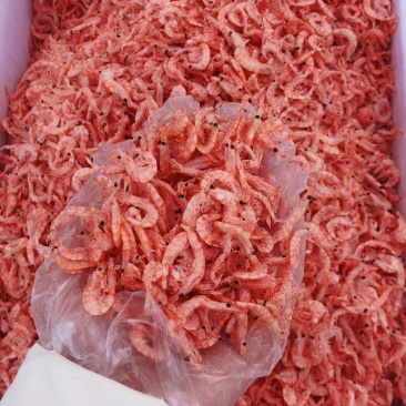 磷虾皮，磷虾肉，多种规格可选！大量有货！一箱9斤