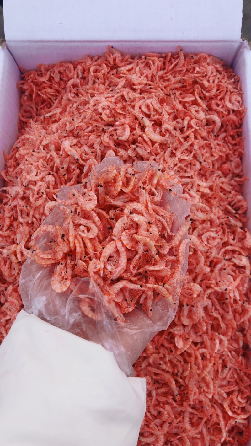 磷虾皮，磷虾肉，多种规格可选！大量有货！一箱9斤