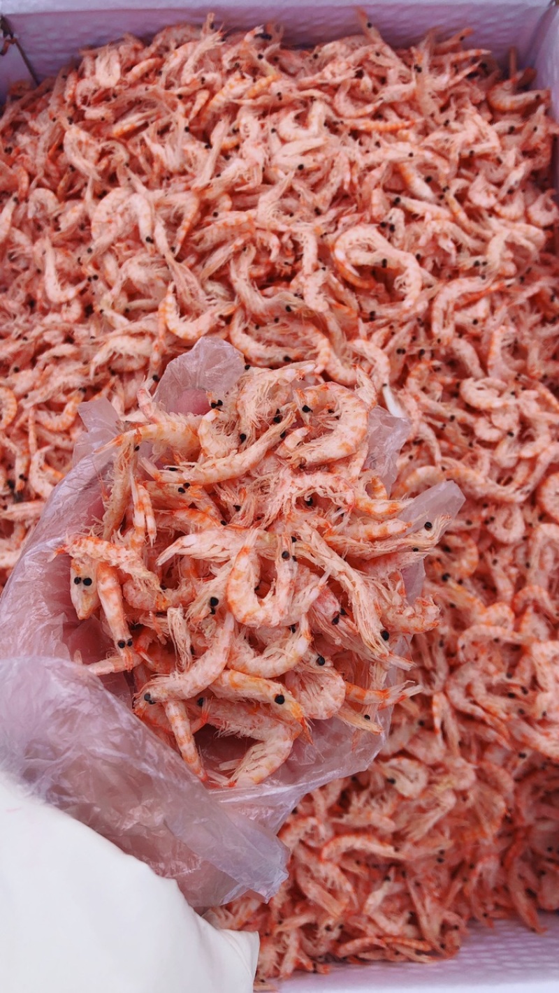 磷虾皮，磷虾肉，多种规格可选！大量有货！一箱9斤