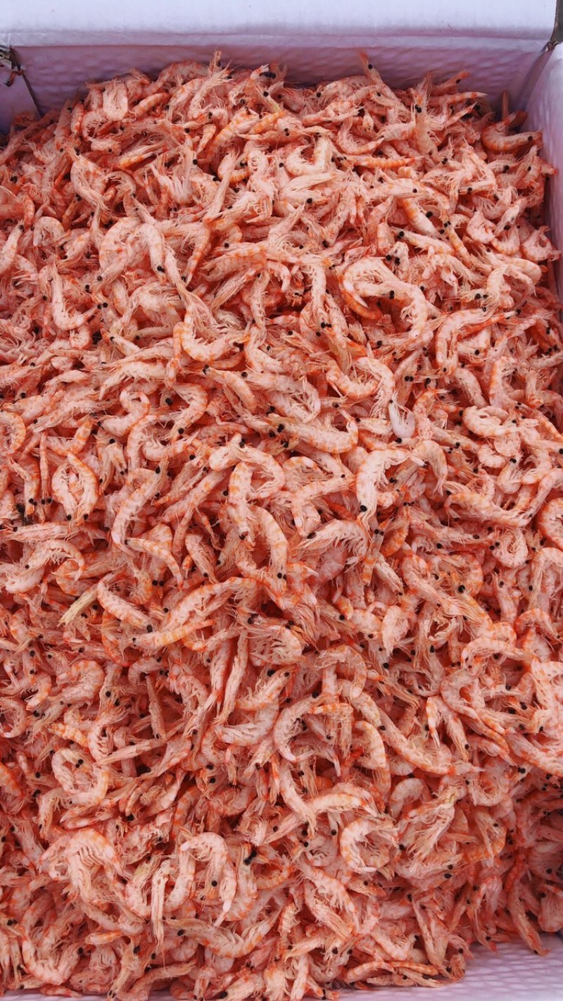 磷虾皮，磷虾肉，多种规格可选！大量有货！一箱9斤