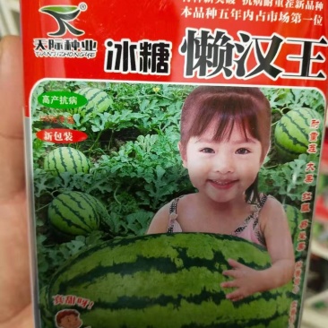 西瓜种子冰糖懒汉王耐重茬大果新一代杂交抗病易管理