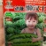 西瓜种子冰糖懒汉王耐重茬大果新一代杂交抗病易管理