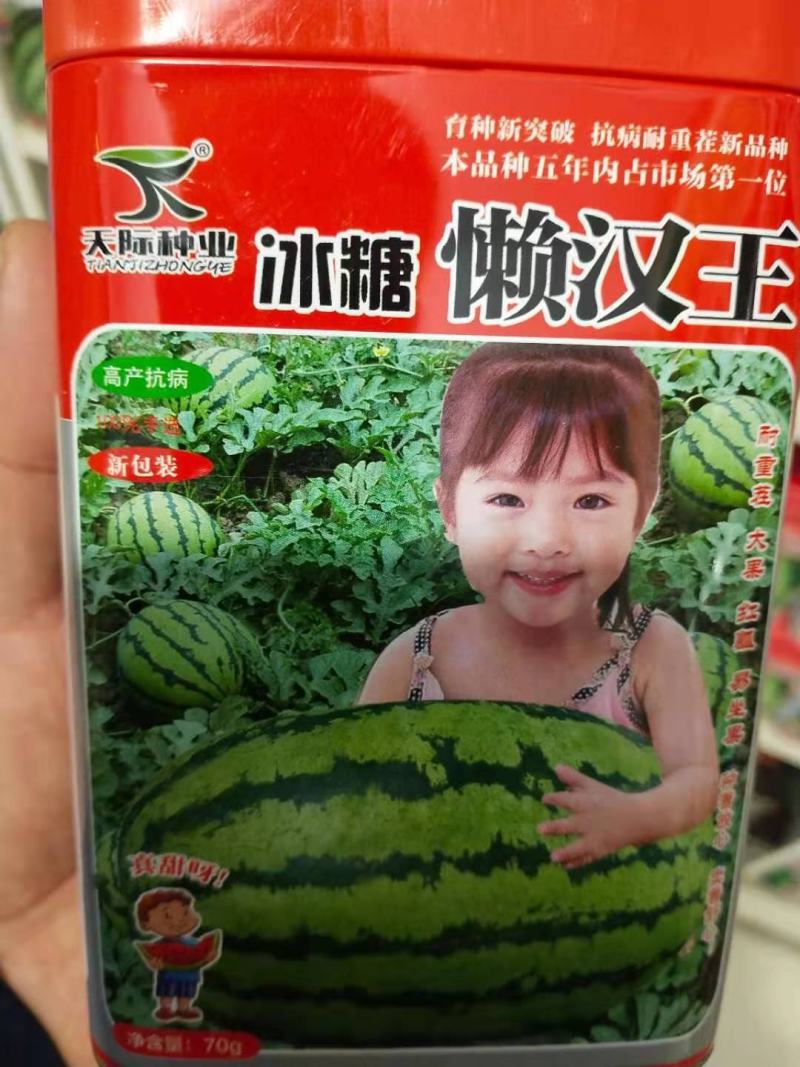 西瓜种子冰糖懒汉王耐重茬大果新一代杂交抗病易管理
