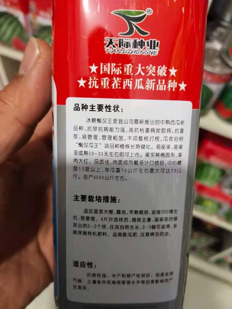 西瓜种子冰糖懒汉王耐重茬大果新一代杂交抗病易管理