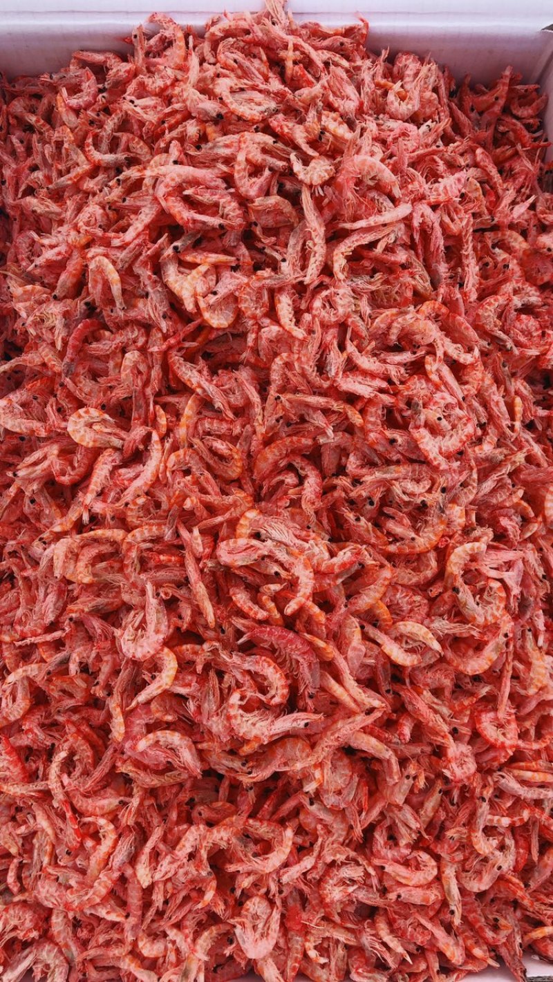 磷虾皮，磷虾肉，多种规格可选！大量有货！一箱9斤