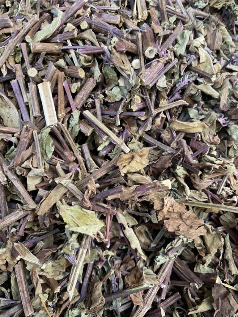 出售各种规格猫须草颜色好袋茶包原材料