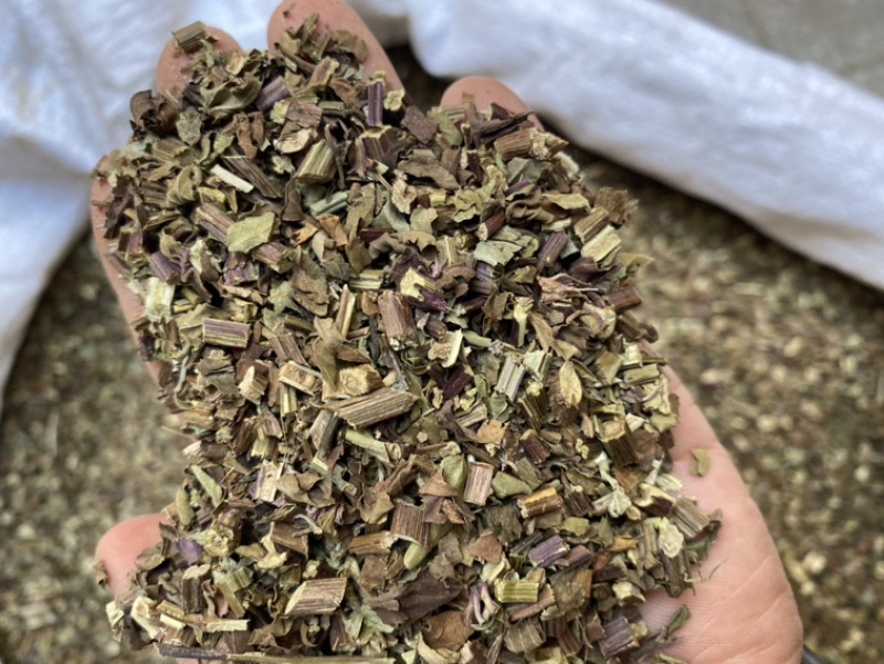 出售各种规格猫须草颜色好袋茶包原材料
