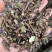 出售各种规格猫须草颜色好袋茶包原材料