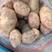 【土豆】精品荷兰土豆产地直发可视频看货欢迎咨询