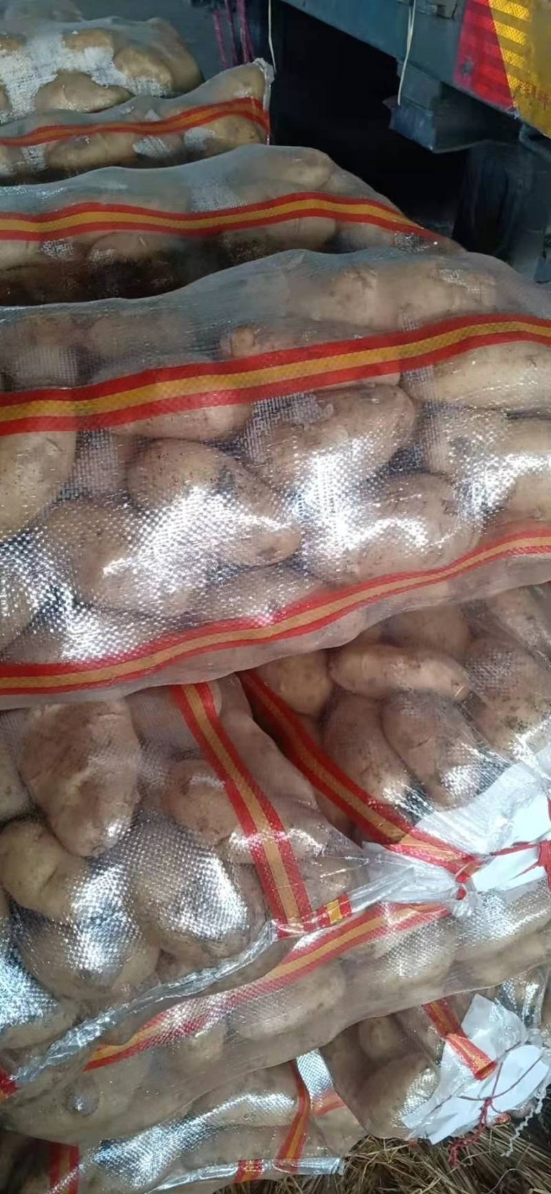【土豆】精品荷兰土豆产地直发可视频看货欢迎咨询