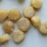 300头大连元贝瑶柱接近足干颜色金黄