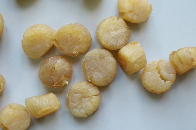 300头大连元贝瑶柱接近足干颜色金黄