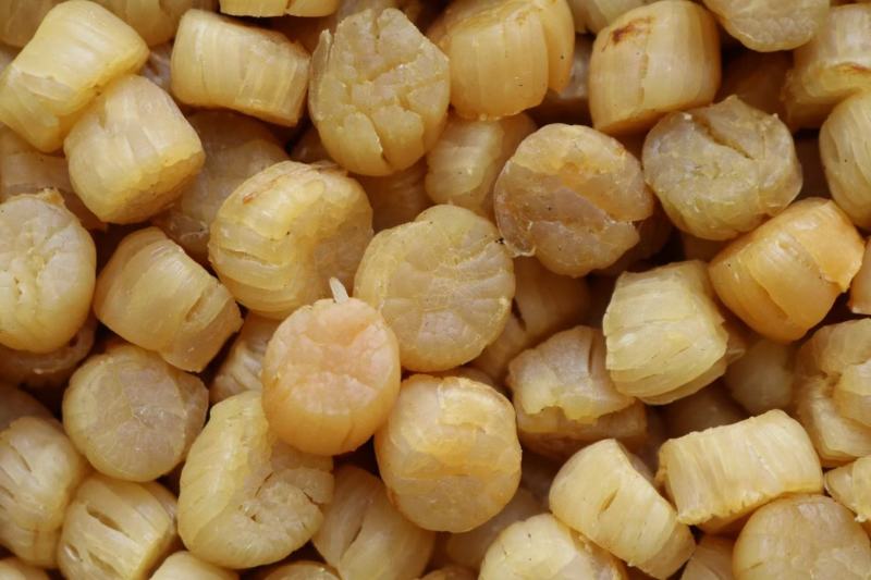 300头大连元贝瑶柱接近足干颜色金黄
