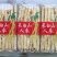 45支长白山人参盒装500g一盒