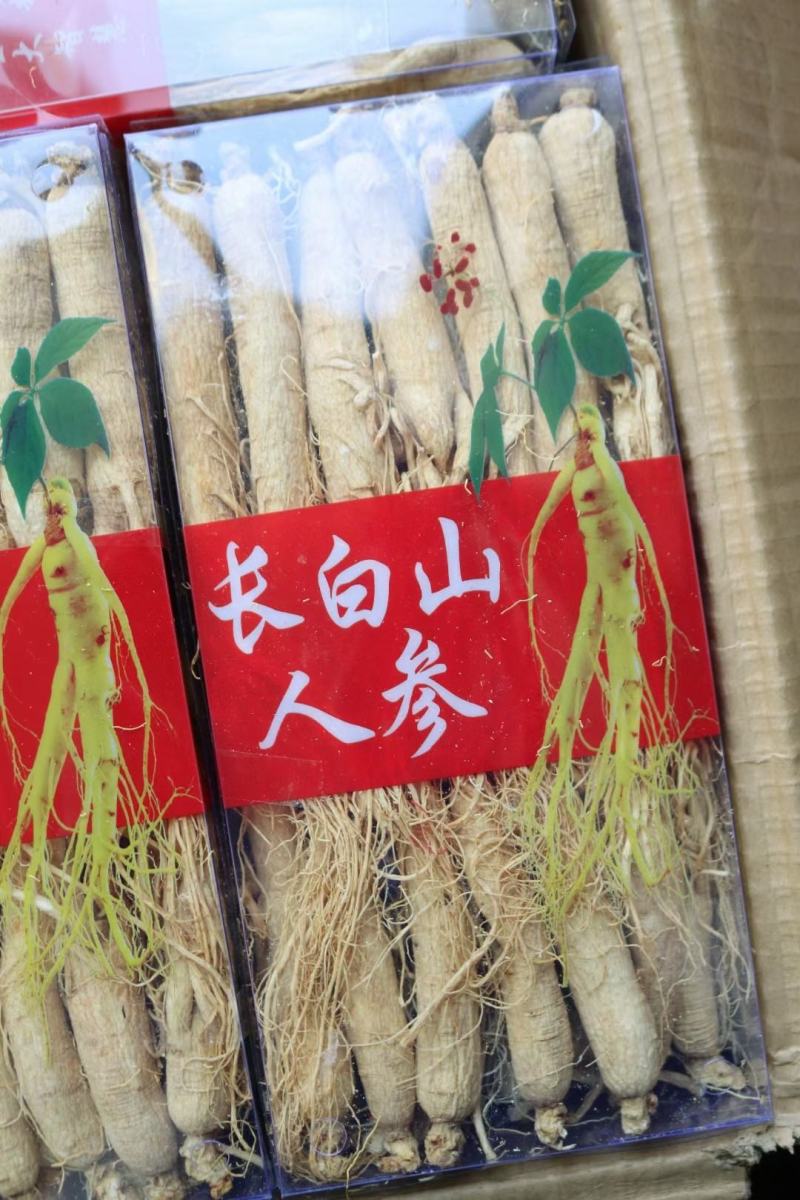 45支长白山人参盒装500g一盒