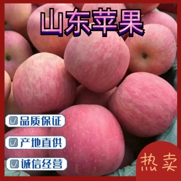 【精选红富士】苹果产地直供全国可发品质保证脆甜多汁