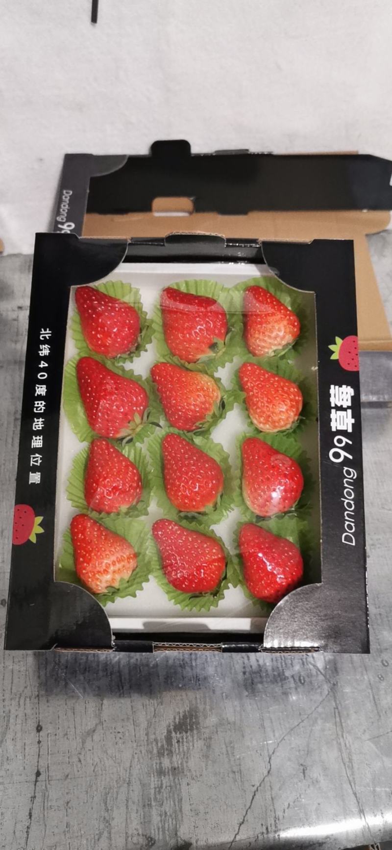 [牛]丹东99东港牛奶草莓现摘现发新鲜水果全国发货批发