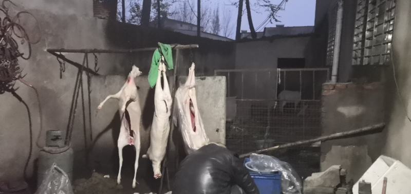 山羊肉，吃草山羊，肉质鲜美