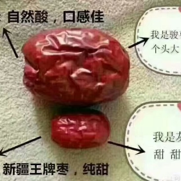 电商对接平台抖音直播带货新疆骏枣，新疆阿克苏直发诚信经营