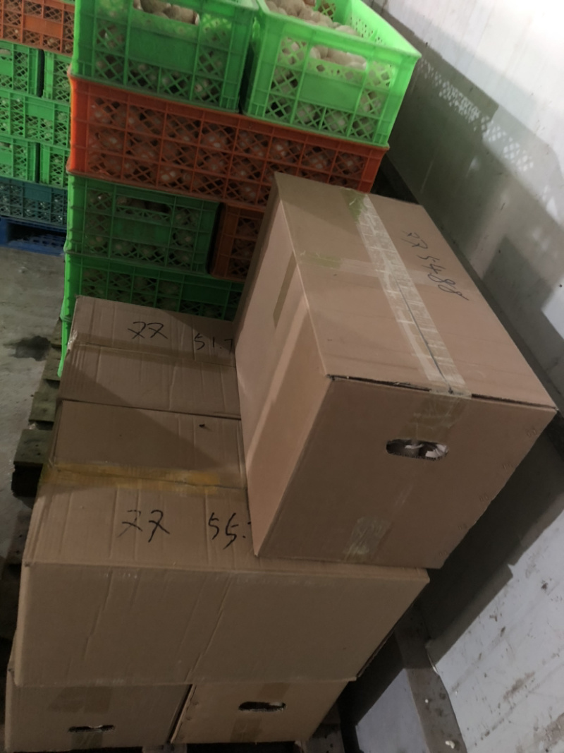 【长期供应】鲜鸡蛋次品鸡蛋畸形鸡蛋双簧蛋种类齐全