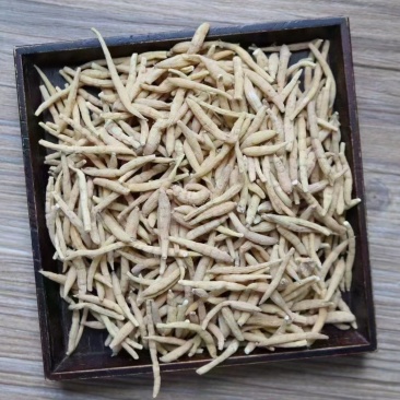 小号太子参品相不错性价比高