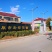 九角枫东北乡土树种秋季变色绿化苗木实地看苗订购