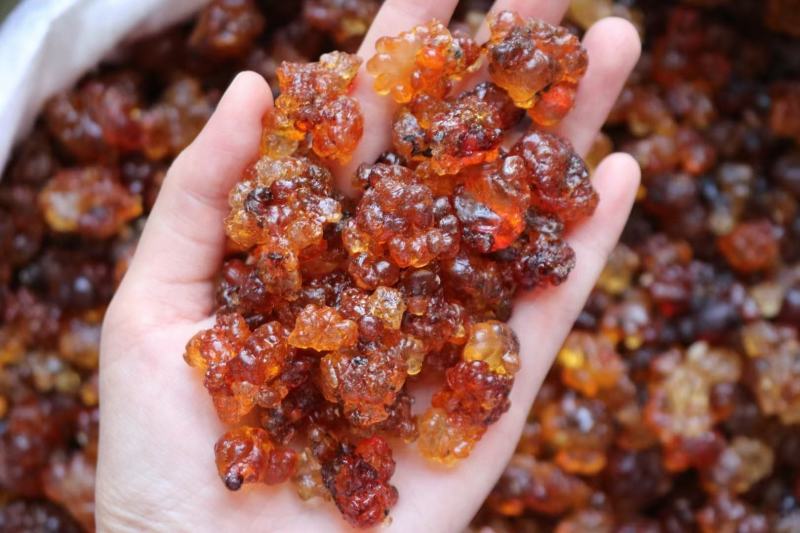 水洗红桃胶品种漂亮胶质好