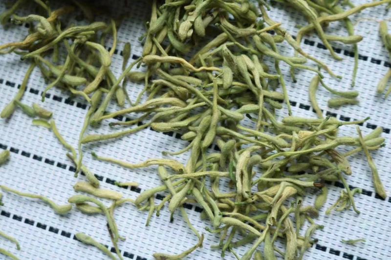 特级特绿金银花没有杂质干度好