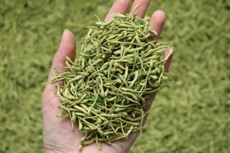 特级特绿金银花没有杂质干度好