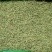 特级特绿金银花没有杂质干度好