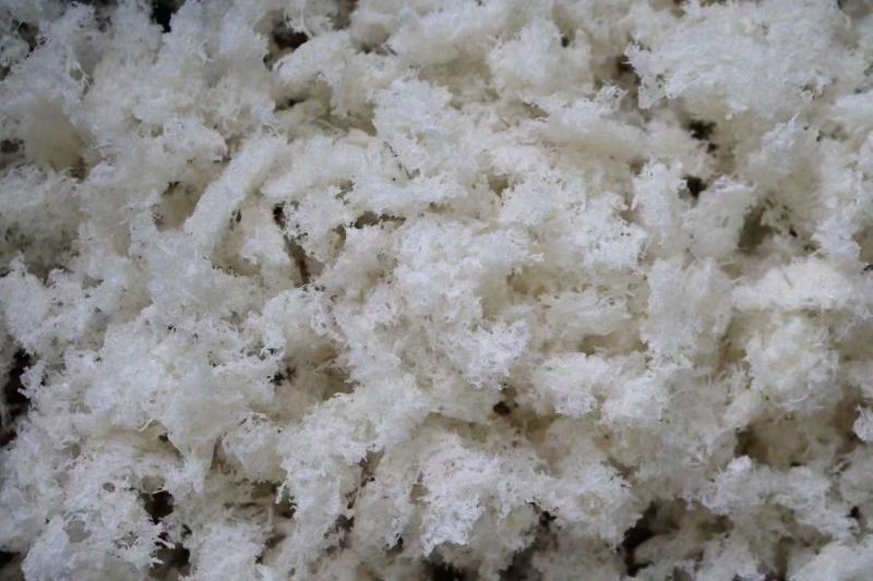 印尼燕窝囊丝屋燕碎发头好干净度高95干