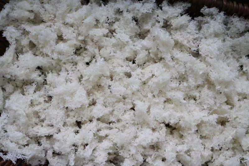 印尼燕窝囊丝屋燕碎发头好干净度高95干