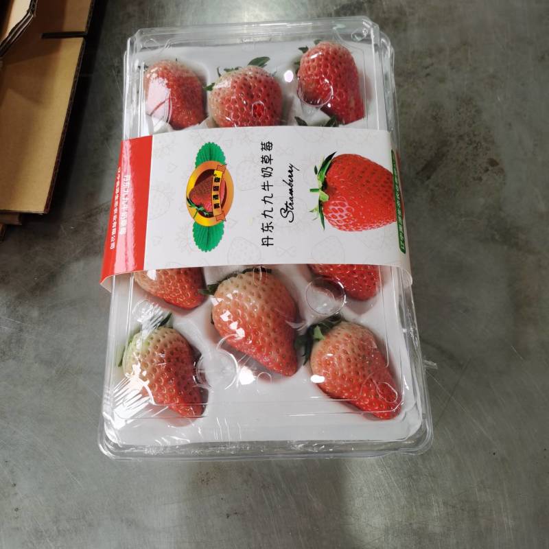 东港九九草莓个大口感好，香甜可口老少皆宜