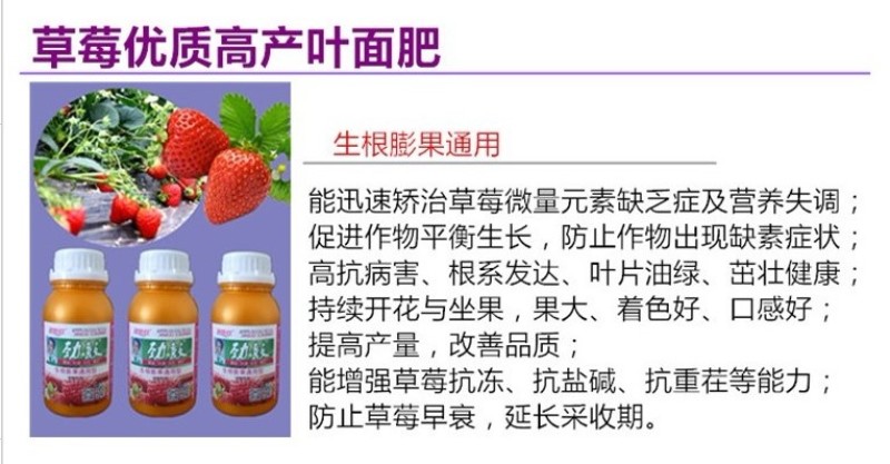 草莓生根膨果剂膨大素强力生根保花保果增甜着色催红叶面肥